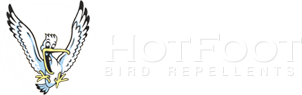 Hot Foot Bird Repellents